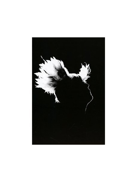 M - Bercy 17.12.2010