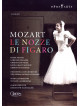 Mozart - Nozze Di Figaro (Le) - Mattei/Regazzo (2 Dvd)