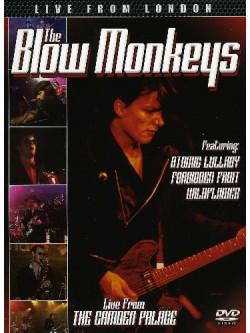 Blow Monkeys (The) - Live From London