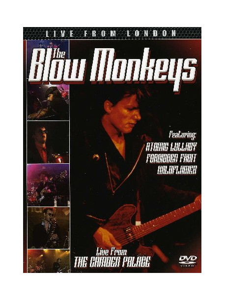 Blow Monkeys (The) - Live From London