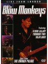 Blow Monkeys (The) - Live From London
