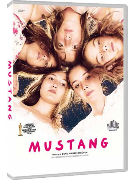 Mustang