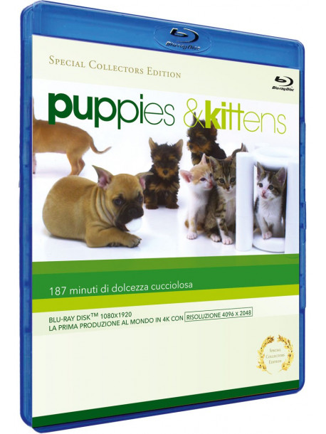 Puppies & Kittens (Special Collector's Edition)