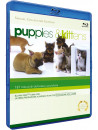 Puppies & Kittens (Special Collector's Edition)