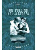 Pulcino Nella Stoppa (Un)
