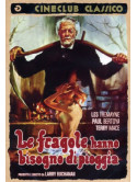 Fragole Hanno Bisogno Di Pioggia (Le)