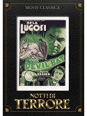 Notti Di Terrore