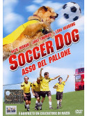 Soccer Dog - Asso Del Pallone