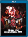 Reo Speedwagon - Live At Moondance Jam