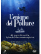 Enigma Del Polluce (L')