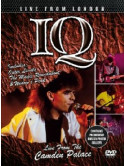 Iq - Live From London