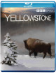 Yellowstone [Edizione: Regno Unito]