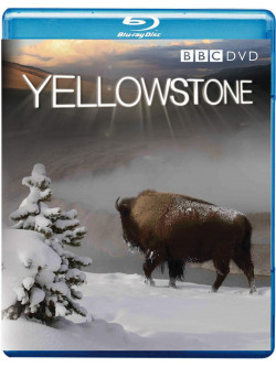 Yellowstone [Edizione: Regno Unito]