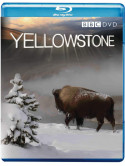 Yellowstone [Edizione: Regno Unito]