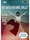 Dutch National Ballet (The)