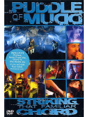 Puddle Of Mudd - Striking That Familiar Chord