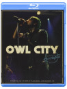 Owl City - Live From Los Angeles