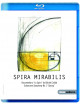 Spira Mirabilis