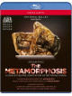 Metamorphosis (The)