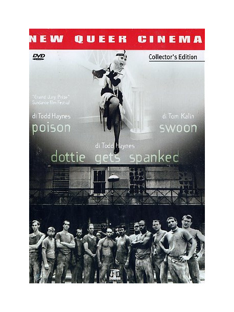 New Queer Cinema (2 Dvd)
