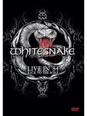 Whitesnake - Live In 84 - Back To The Bone