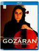 Gozaran - Time Passing (Documentario Su Nader Mashayekhi)