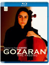 Gozaran - Time Passing (Documentario Su Nader Mashayekhi)