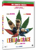 Erba Di Grace (L')