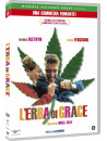 Erba Di Grace (L')