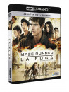 Maze Runner - La Fuga (Blu-Ray 4K Ultra HD+Blu-Ray)