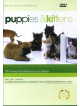 Puppies & Kittens (Special Collector's Edition)