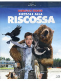 Puzzole Alla Riscossa