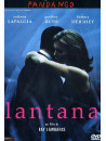 Lantana