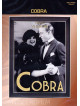 Cobra (1925)