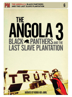 Angola 3 - Black Panthers And The Last Slave Plantation [Edizione: Stati Uniti]