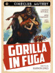 Gorilla In Fuga