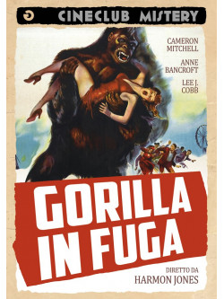 Gorilla In Fuga