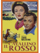 Cavallino Rosso (Il)