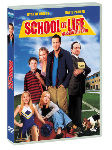 School Of Life - Maestro Dell'Anno