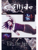 Collide - Like The Hunted