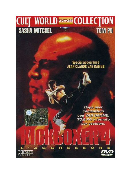 Kickboxer 4 - L'Aggressore