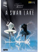 Swan Lake (A)