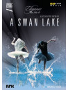 Swan Lake (A)