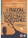 A Pigeon Sat On A Branch Reflecting Upon Existence [Edizione: Regno Unito]