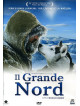 Grande Nord (Il)