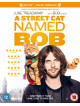 A Street Cat Named Bob [Edizione: Regno Unito]