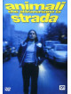 Animali Che Attraversano La Strada