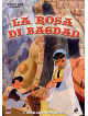 Rosa Di Bagdad (La) (SE)