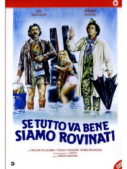 Se Tutto Va Bene Siamo Rovinati