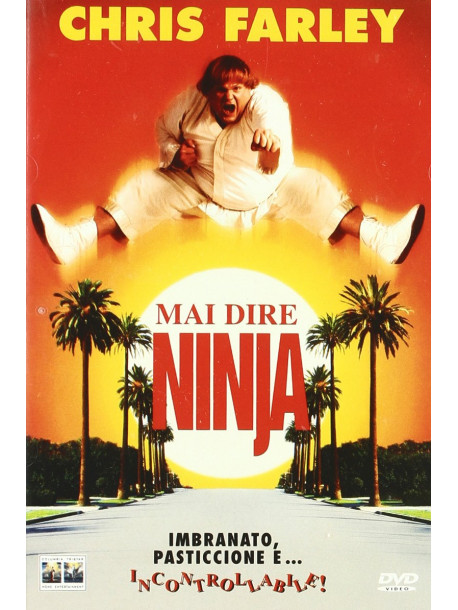 Mai Dire Ninja